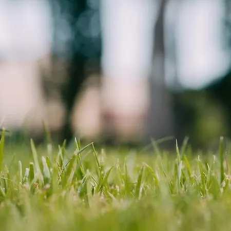 El Montico - Singular's 4*