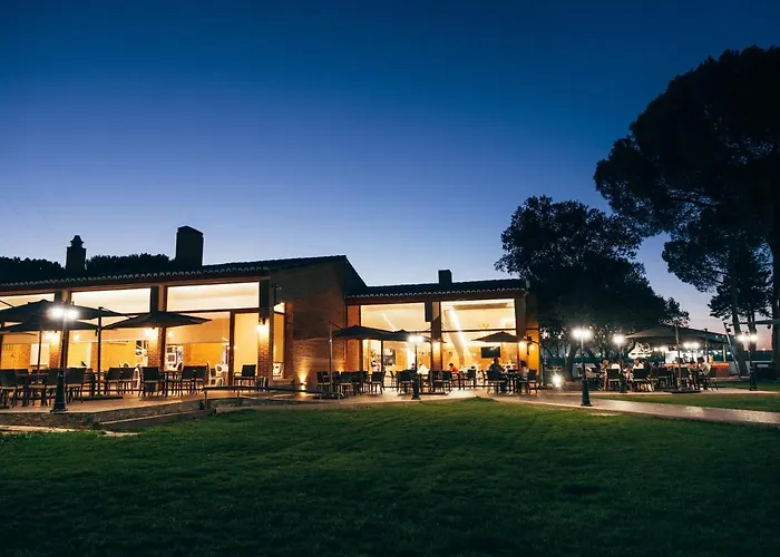 El Montico - Singular's