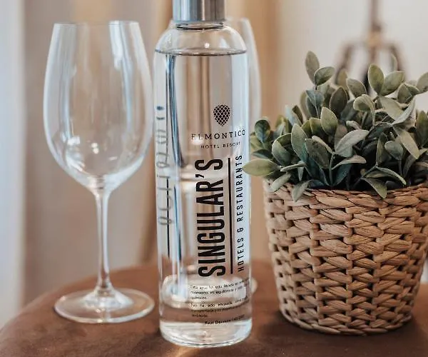 El Montico - Singular's