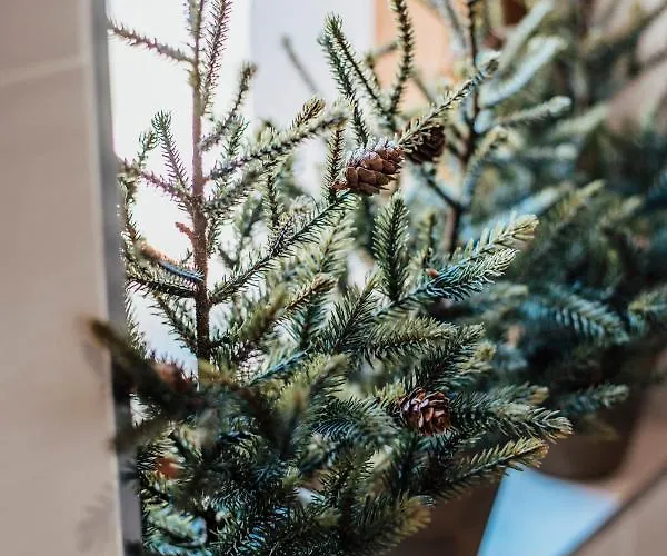 El Montico - Singular's 4* Тордесильяс