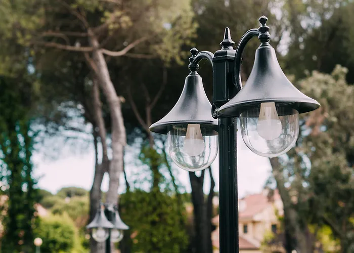 El Montico - Singular's