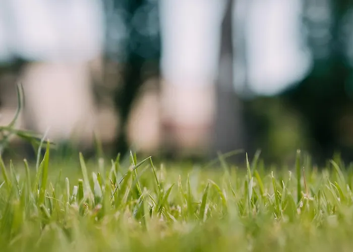 El Montico - Singular's 4*