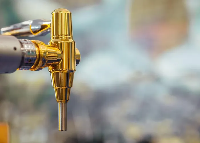 El Montico - Singular's 4*